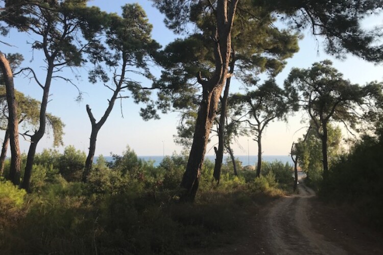 Antalya Kemer Satılık Otel Arsası